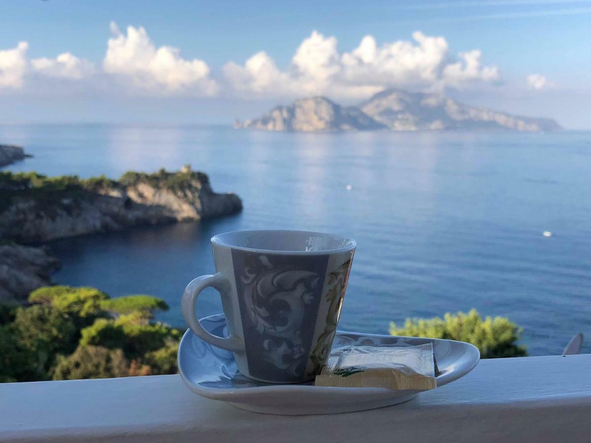 Il Sogno Di Lina Sorrento Coast Capri View Villa Massa Lubrense Eksteriør billede